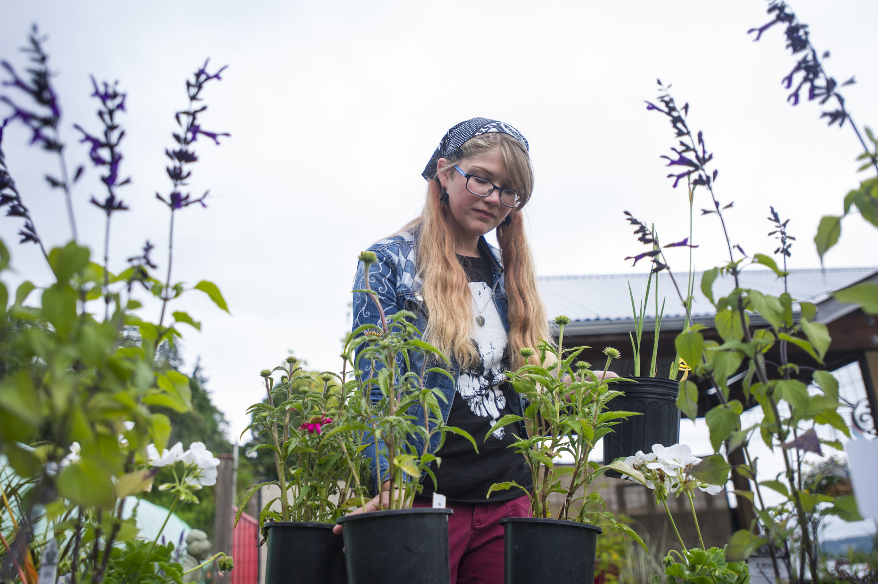 Van Tassel's Nursery